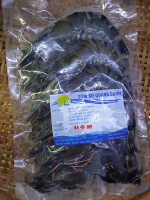 Tôm Sú Quảng Canh